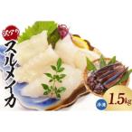 スルメイカ 冷凍 約1.5kgサイズ不揃い