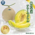 組合が自信を持ってお届けするアローマメロン2玉