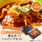 ふるさと納税 大野城市 大野城市限定!濃厚デミグラス仕立ての煮込みハンバーグセット1.6kg(160g×10P)(大野城市)