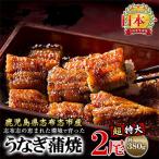 ふるさと納税 志布志市 鹿児島県産 うなぎの大楠 〈超特大〉 2尾 計約380g【大楠鰻】 a7-002