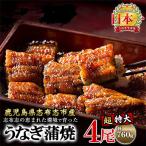 ふるさと納税 志布志市 鹿児島県産 うなぎの大楠 〈超特大〉 4尾 計約760g【大楠鰻】 c3-022