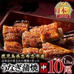 うなぎの大楠 10尾セット計1.3kg 130g×10