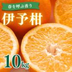 産伊予柑 10kg