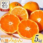 みかん 訳あり 日向ひまわり 石地みかん 2S