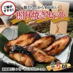 魚屋が作った 高級銀だら2切 からすがれい3切の照り焼きセ…