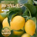 瀬戸内レモン 約10kg