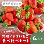 農園直送 完熟イチゴ食べ比べセット2種 6パック