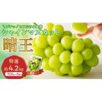 産シャインマスカット 晴王 特選 大房 化粧箱入 約700g×6房