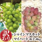 ふるさと納税 津山市 【きよとうファーム】【訳あり品ご家庭用】シャインマスカット&マイハート 約2.4kg (岡山県産)
