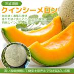 ふるさと納税 茨城県 【内山農園】いばらきメロンコンテスト2025クインシーメロン(2玉3kg)2026年5月より発送開始