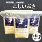空舞米 岩船産 新之助 精米6kg 2kg×3袋