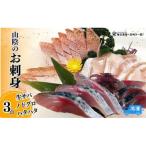 魚貝類のどぐろ 山陰のお刺身用魚3点セット生サバ