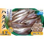 小さいサイズのハタハタ 計1.2kg