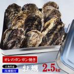 ふるさと納税 大竹市 アミスイの牡蠣 オレのガンガン焼き(冷凍殻付) 2.5kg