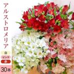 SB0674 アルストロメリアの花束 計30本