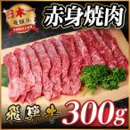 ふるさと納税 羽島市 飛騨牛 赤身(焼肉・BBQ用) 約300g【冷蔵便】A4〜A5等級 黒毛和牛