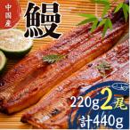 ふるさと納税 吉野ヶ里町 うなぎ蒲焼220g×2尾