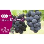 産ニューピオーネ 秀品 約2kg