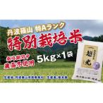 丹波篠山産 特別栽培米 越光 栽培期間中農薬不使用 5kg×1袋