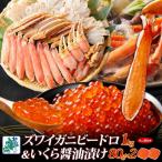 ふるさと納税 泉佐野市 本ズワイしゃぶ 1kg前後 蟹酢付 昆布塩加工 &いくら醤油漬け 80g×2P 099H3449