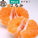 ふるさと納税 九度山町 家庭用 はるみ10kg+250g(傷み補償分)【デコポンの姉妹品種・新食感春みかん】【訳あり】