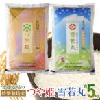 斎藤農場の特別栽培米つや姫 雪若丸各5kg
