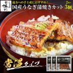 ふるさと納税 有田市 メール便・常温タイプ　国産うなぎ蒲焼カット2枚100g 3パック入
