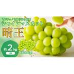 ショッピングふるさと納税 シャインマスカット ふるさと納税 備前市 【2026年発送分 先行受付】岡山県産シャインマスカット「晴王」秀品(約1kg×2房)