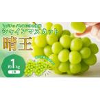 ショッピングふるさと納税 シャインマスカット ふるさと納税 備前市 【2026年発送分 先行受付】岡山県産シャインマスカット「晴王」 秀品 1kg(2房)