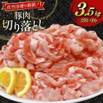 ふるさと納税 日向市 宮崎県産 豚肉 切り落とし 250g 14袋 計3.5kg セット(日向市)
