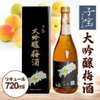 酒田の酒屋厳選 子宝リキュール 大吟醸梅酒 720ml×1本