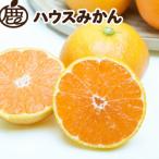 ハウスみかん0.5kg+250g 傷み補償分