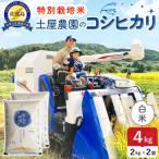 令和8年産 佐渡島産コシヒカリ 白米4kg
