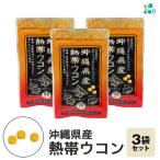 熱帯ウコン 90粒
