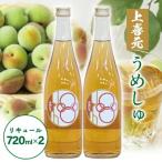 SA2430 酒田の酒屋厳選 上喜元 うめしゅ 720ml×2本