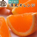 清見10kg+250g 傷み補償分
