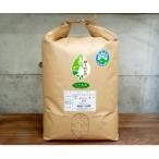 ふるさと納税 あわら市 愛情いっぱいに育てたお米です!【令和7年産】特別栽培米ゆうだい21 玄米10kg