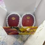 ふるさと納税 糸満市 【2026年発送】沖縄の太陽を浴びた芳醇なマンゴー 1kg(優品)