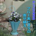 傘型アイアン鉢 ビオラの寄せ植え ブルー系