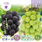 ふるさと納税 新庄村 【2026年先行受付】岡山　花笑み農園の『ニューピオーネ&シャインマスカット』1kg(2房)PS-1