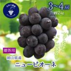 岡山 花笑み農園のニューピオーネ 約2kg