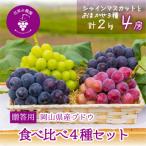 岡山 花笑み農園のBKシードレス 約2kg