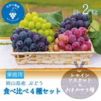 ふるさと納税 新庄村 岡山 花笑み農園の『食べ比べ4種セット』シャイン入り(4房)家庭用 4M-2家【9月中旬〜順次発送】