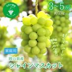岡山 花笑み農園のシャインマスカット 約2kg