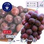 ふるさと納税 新庄村 【2026年先行受付】岡山　花笑み農園の 『訳ありニューピオーネ』1kg　WP-1