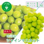 岡山 花笑み農園 訳ありシャインマスカット 1kg