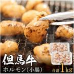 但馬牛経産牛 ホルモン 500g×2パック