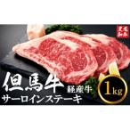 但馬牛経産牛 サーロインステーキ 200g×5枚