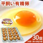 fu.... налог . лен город flat .. иметь . яйцо 