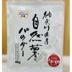 すりおろし不要 自然薯パウダー10袋